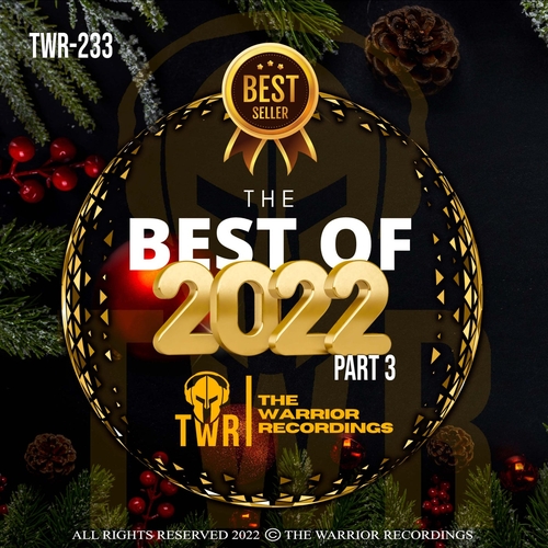 VA - BEST OF 2022 - Pt. 3 [TWR233]